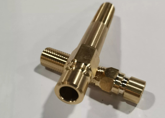 Accessori per tubi d'ottone del capezzolo di estensione delle parti della muffa di precisione