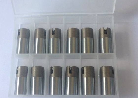 Valvola a fungo standard dell'aria di BACCANO CUMSA per l'acciaio inossidabile INOX1.04034 della muffa di espulsione